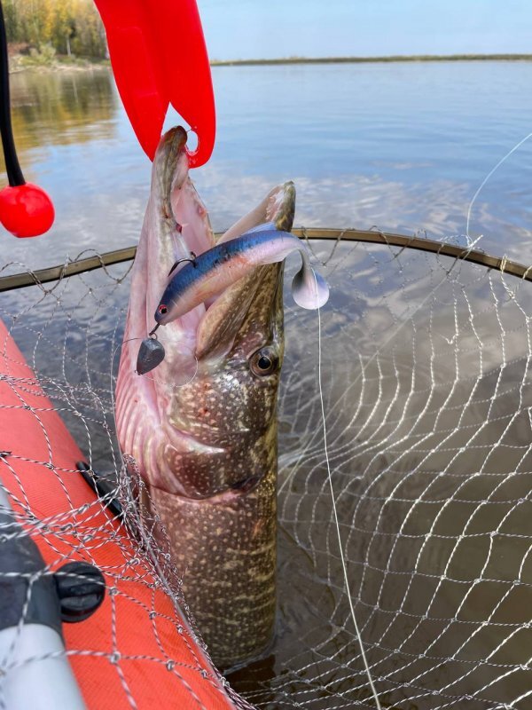 На какую приманку взять. Приманки на окуня летом на спиннинг. Best baits нано джиг силиконовые приманки. Твистер рыболовная приманка. Уловистые блесна на ультралайт.