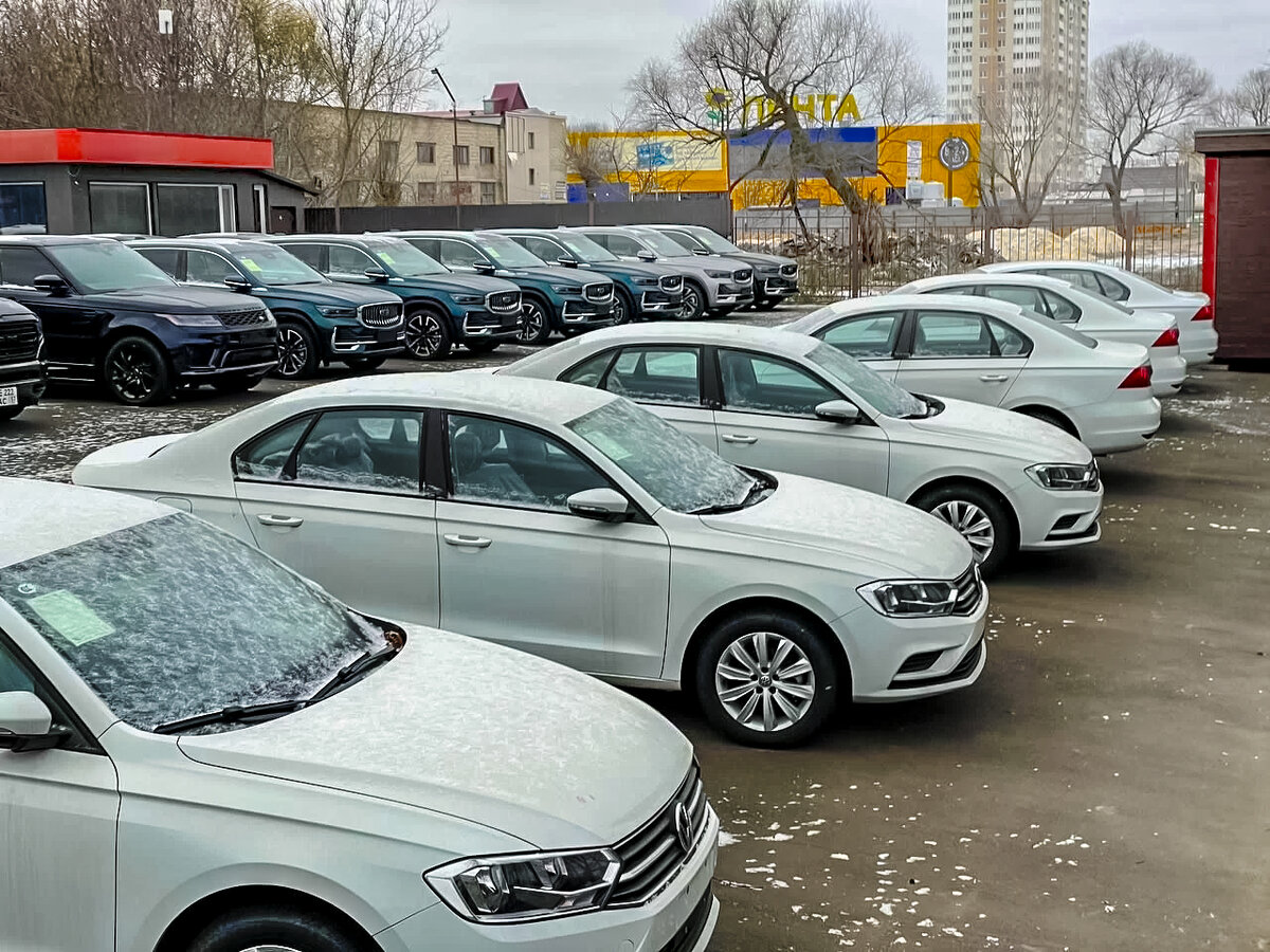 Новые Volkswagen вернулись в РФ, их повально раскупают: Комплектации  простые, зато машины с гарантией и надежной техникой | Гаражбатя | Дзен