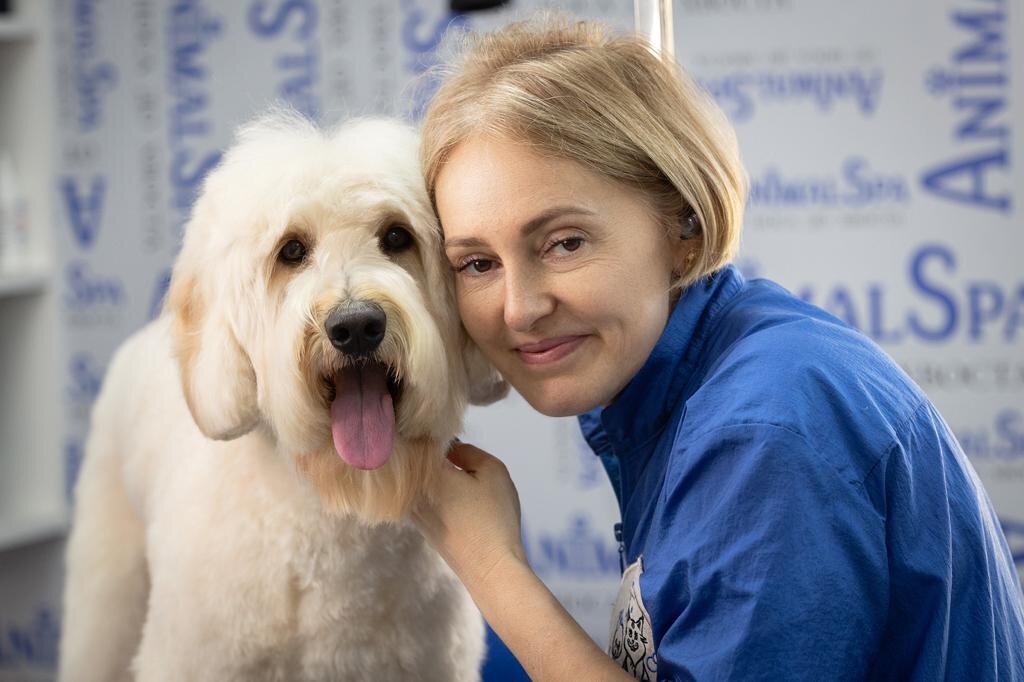 Ирина Аталикова - грумер, основатель зоосалона Animal Spa, призер российских и международных кинологических конкурсов, преподаватель курсов по грумингу, заводчик КХС