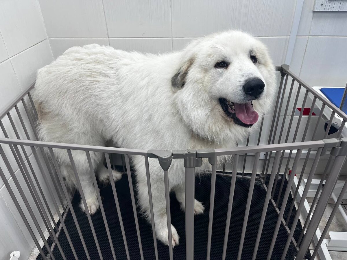 Груминг стол. Незнакомец в сети. Кибербезопасность для дошкольников незнакомцы в сети. Груминг в интернете. Незнакомцы в интернете.