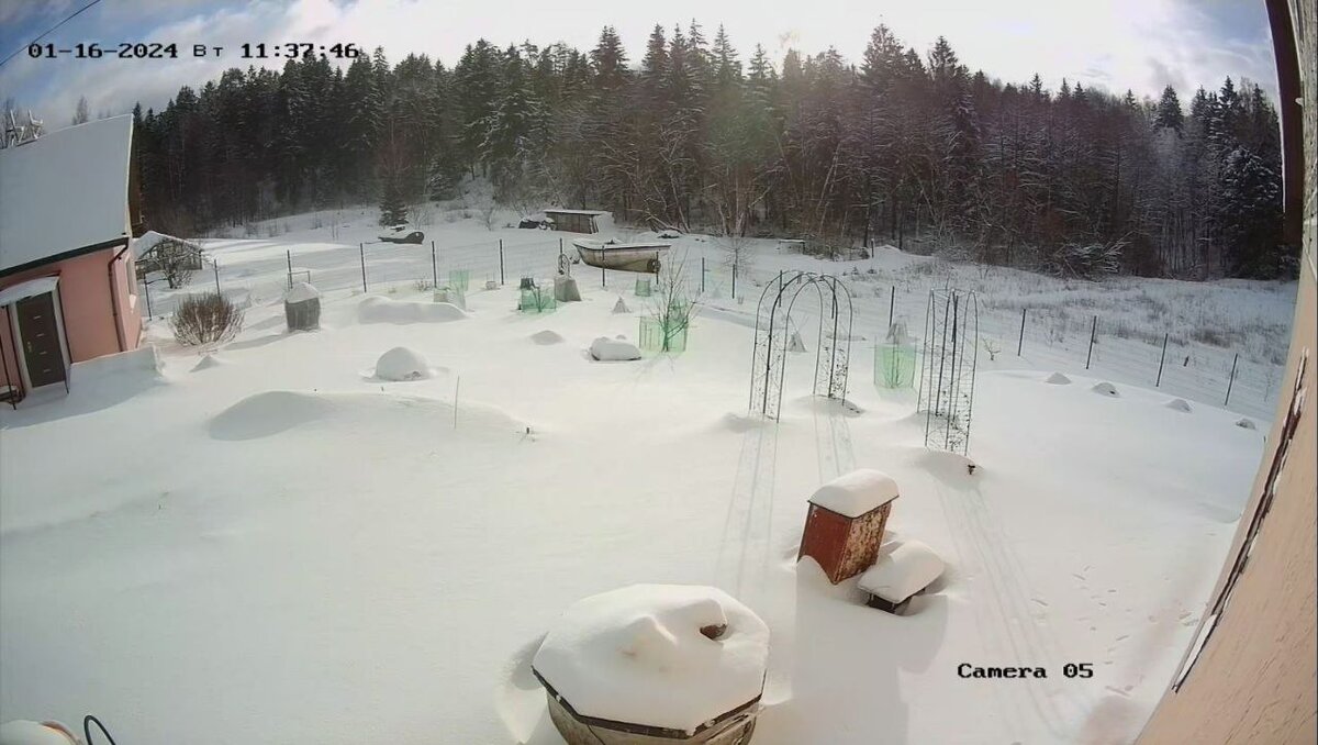 нос. неприятный запах. обонятельные ощущения. запах скана. неприятный запах изо рта.