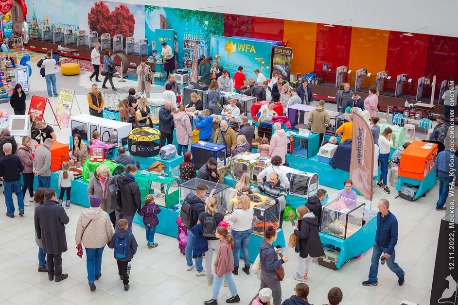 Выставочный зал. Большой, светлый - тут точно можно себя показать!!