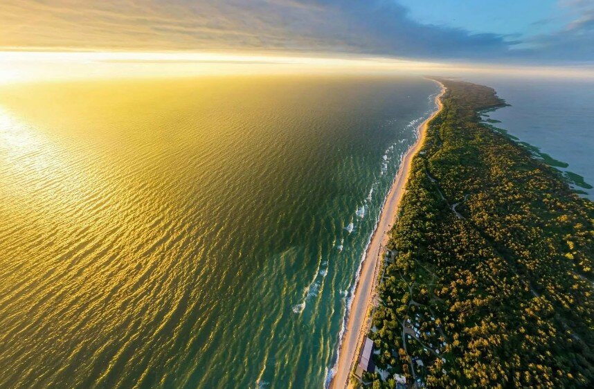 Куршская коса