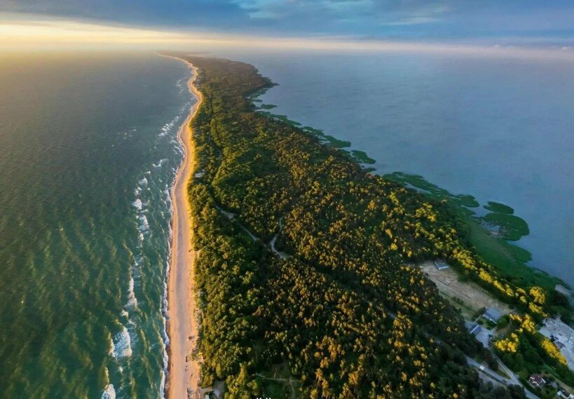 Куршская коса