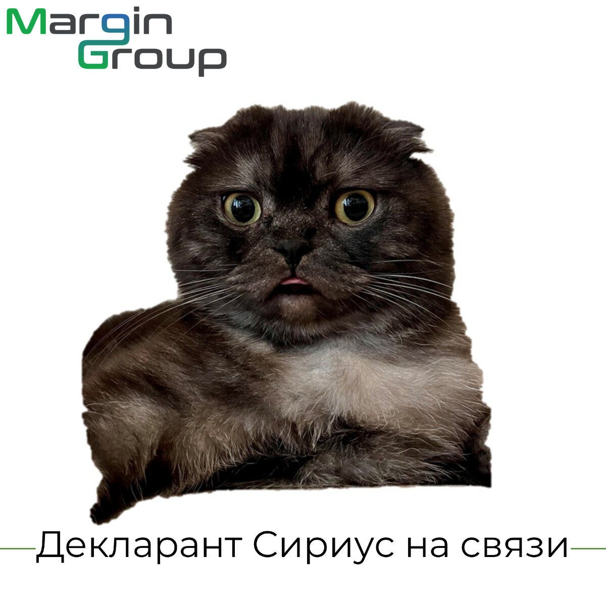 немного о ВЭД, немного о законодательстве, немного о ЧЕСТНОМ ЗНАКЕ :)