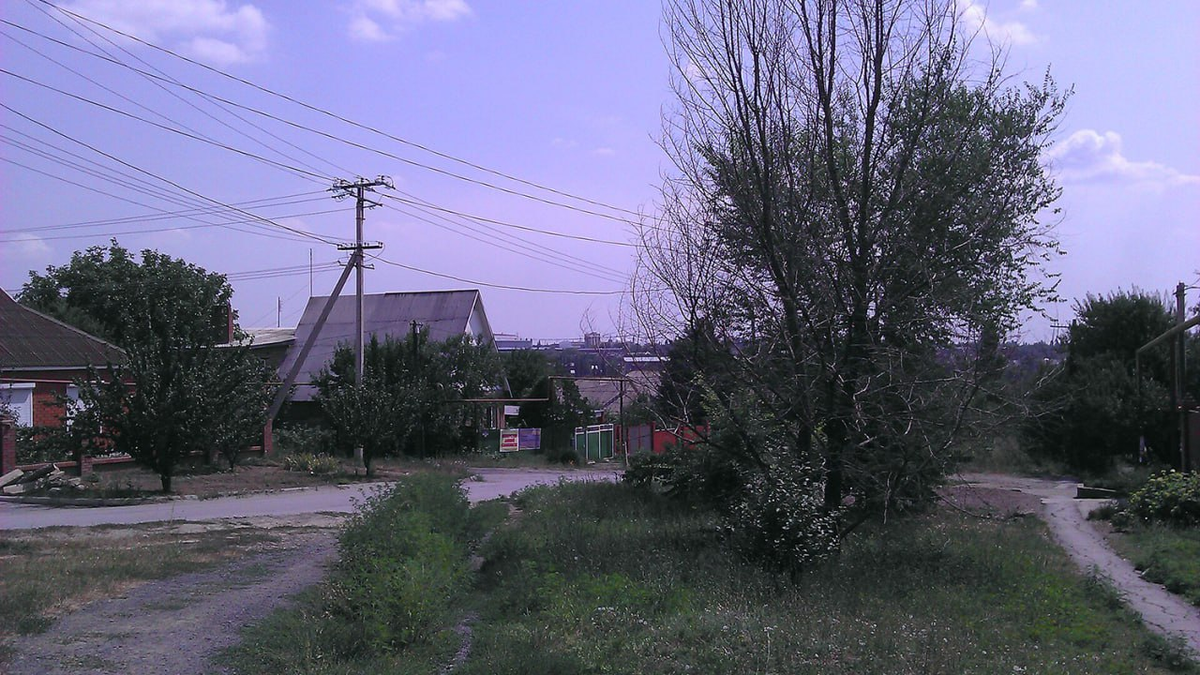 Фото: commons.wikimedia.org/Nonexyst (CC BY 4.0)