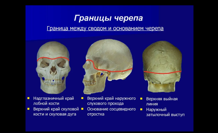 повреждения черепа и позвоночника