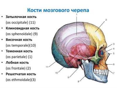 город дятлово гродненской области. дятлово. дятлово отдел. дятлово беларусь храм. карта гродненская область дятловский района.