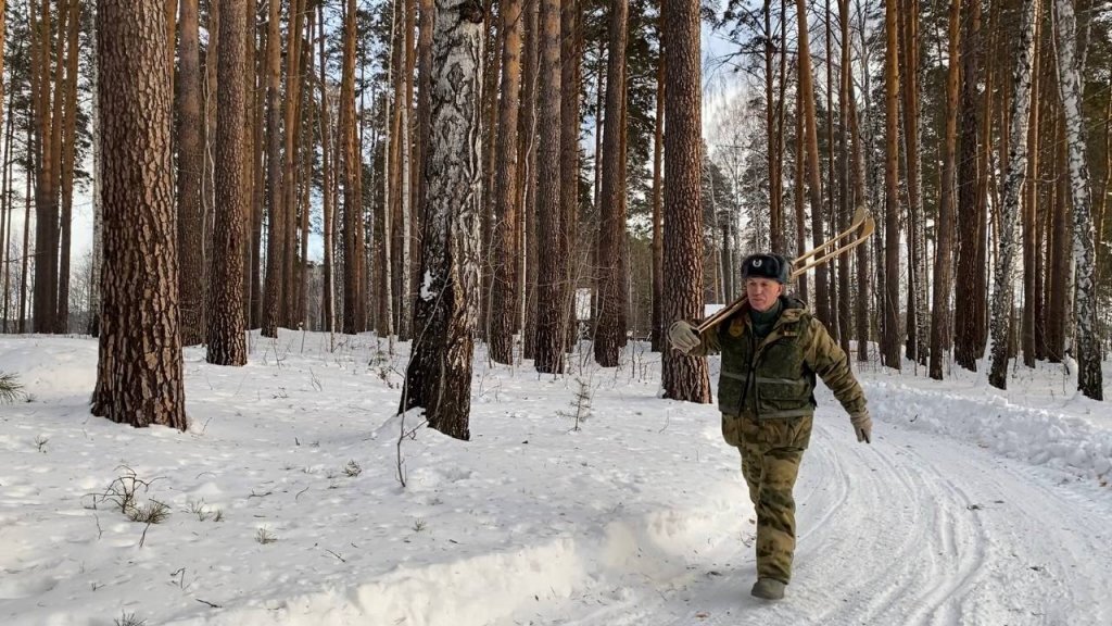 Зимний маршрутный учет охотничьих животных. Косуля в курганской области. Пятнистый олень волгоградской области. Охотничьи угодья. Мониторинг животных в дикой природе.