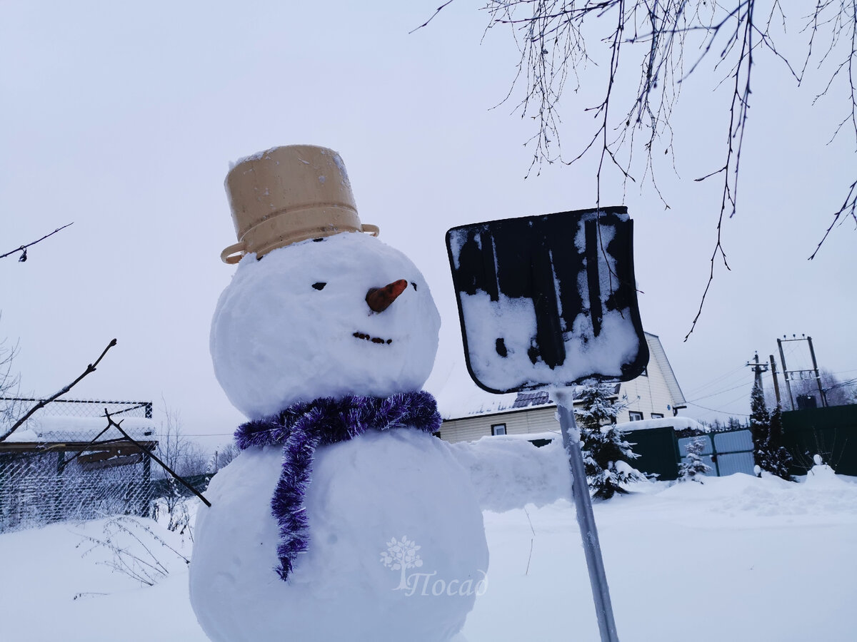 Дачник в начале зимы - свеж и полон сил! Как выглядит этот же дачник концу зимы, наубиравшись снега вручную, смотрите в конце статьи.