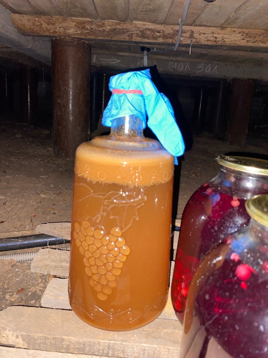 Сидр из диких яблок