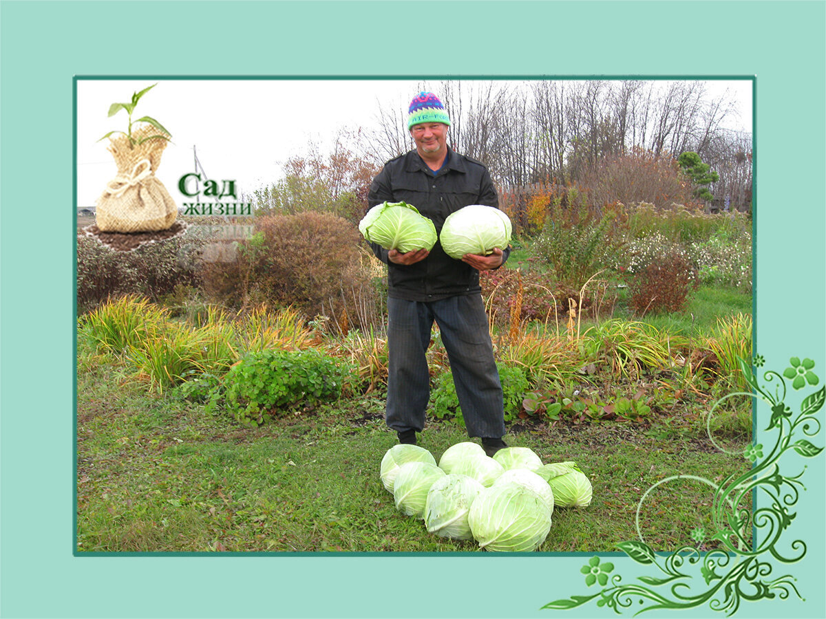 Законы земледелия