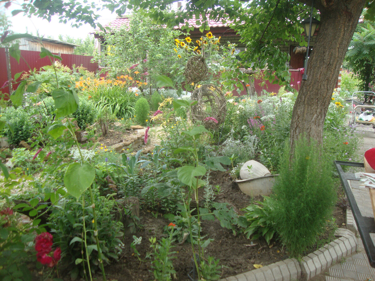 

Так он выглядел в начале июня, уже видно, что начались посадки новых растений, в этой половине цветника.