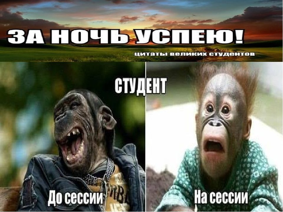 Жиза для каждого студента