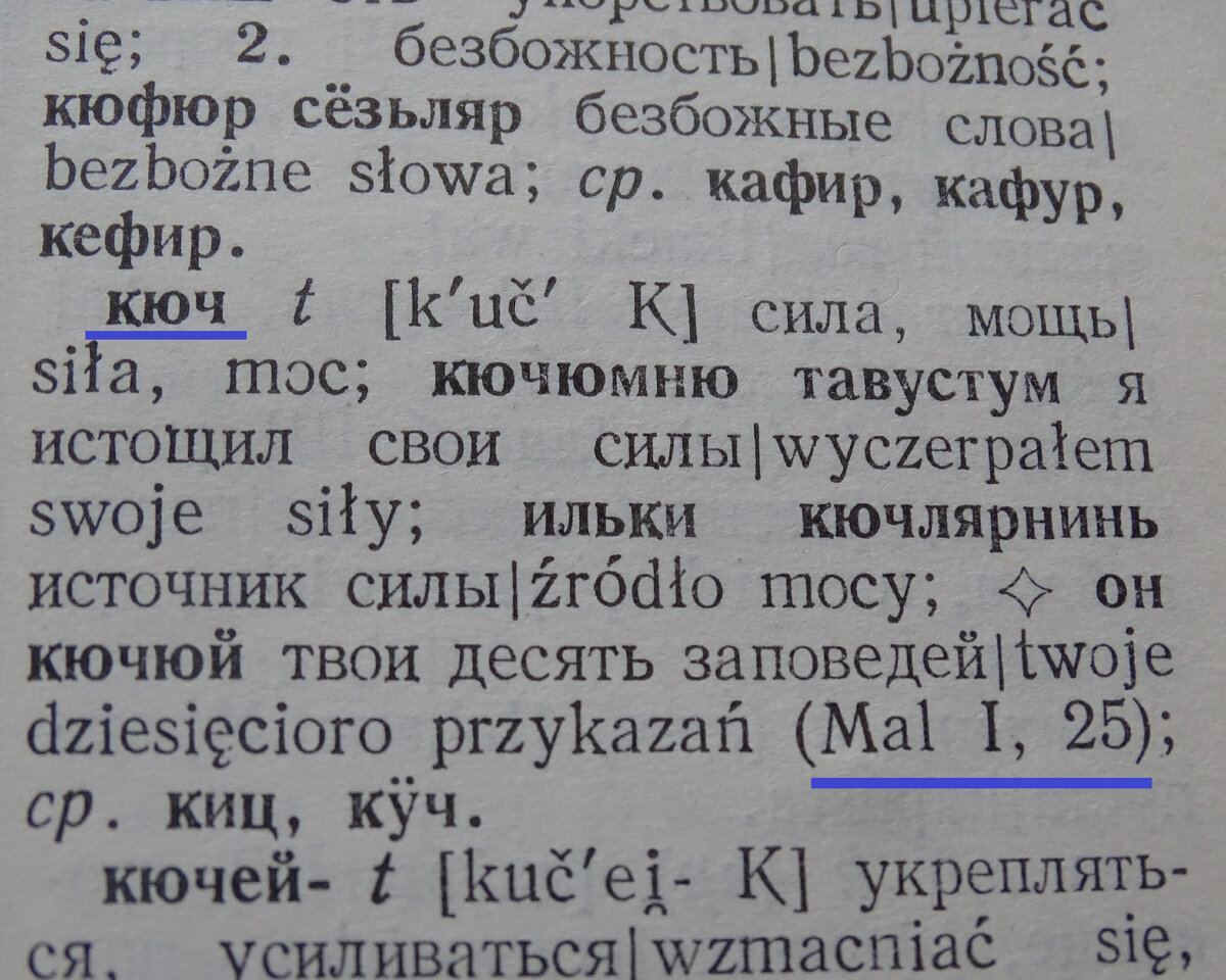 Слово "кюч" в Караимско-русско-польском словаре. Москва. 1974 