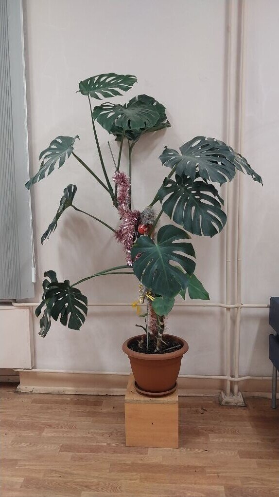 Моя история. Сдала онкомаркеры | Дневник Моих Надежд | Дзен