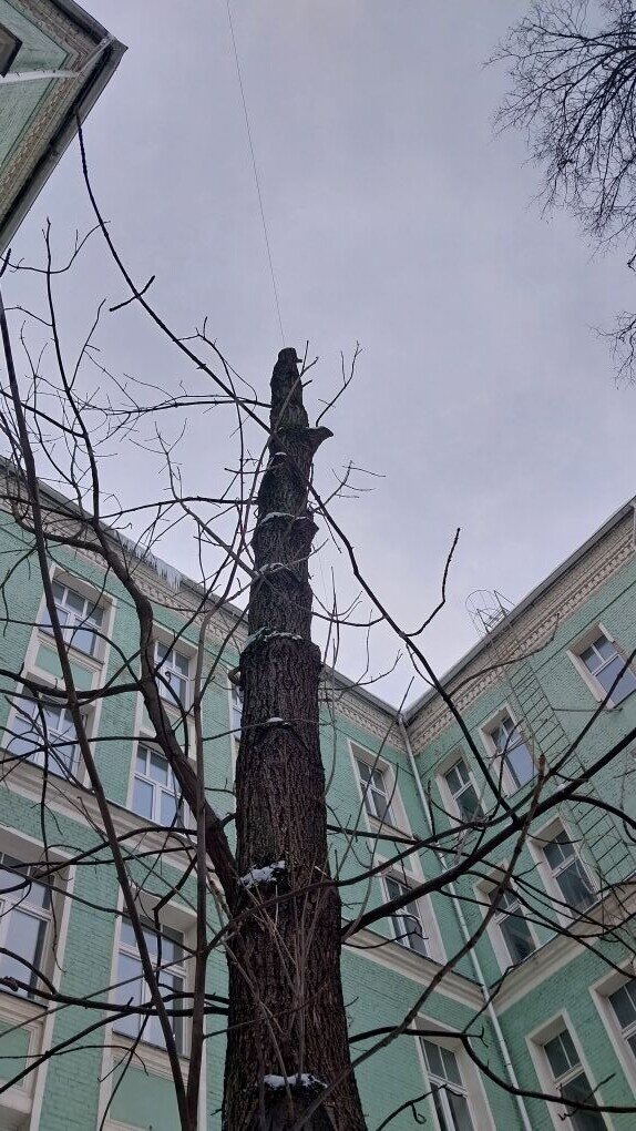 Моя история. Сдала онкомаркеры | Дневник Моих Надежд | Дзен