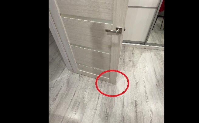 Когда дверь не дверь. Когда дверь не дверь