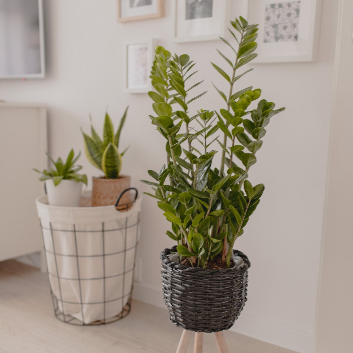 Фото: Pixabay.com