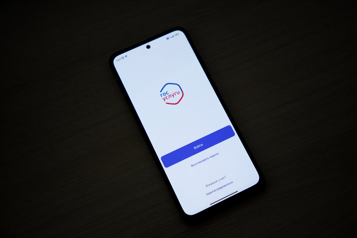 Фото: Тульская служба новостей