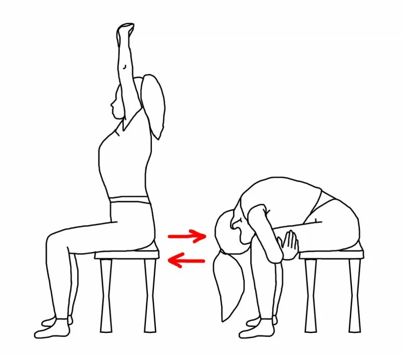 Прижмитесь правой стороной. Наклоны сидя на стуле. Упражнения для спины на стуле. Наклоны вперед сидя на стуле. Упражнения сидя на стуле.