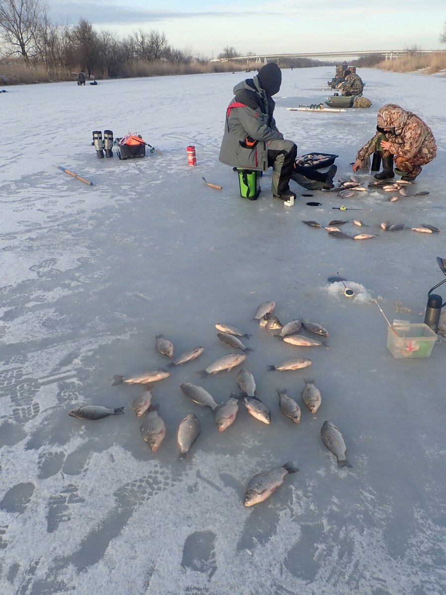 раздолье камчатки база. с. село раздолье армизонский район тюменская область. раздолье тюменская область. раздолье тюменская область.