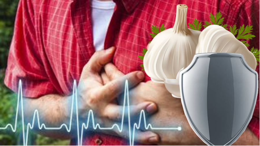 Польза чеснока при ССЗ