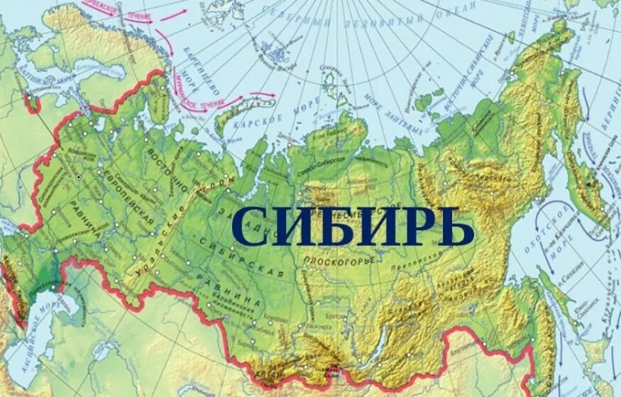    «Завоевать Сибирь»: Какие планы были у главаря узбекской диаспоры?