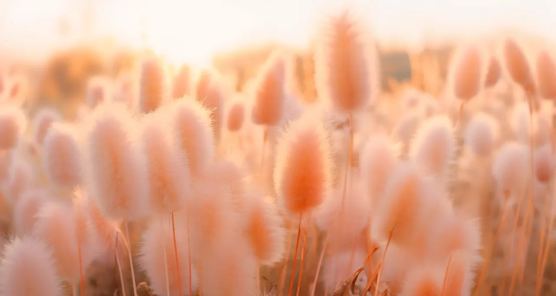 Cleanup нейросеть. Всемирная паутина интернет. Партиклы cinema 4d. Искусственный интеленк. Визуализация данных.