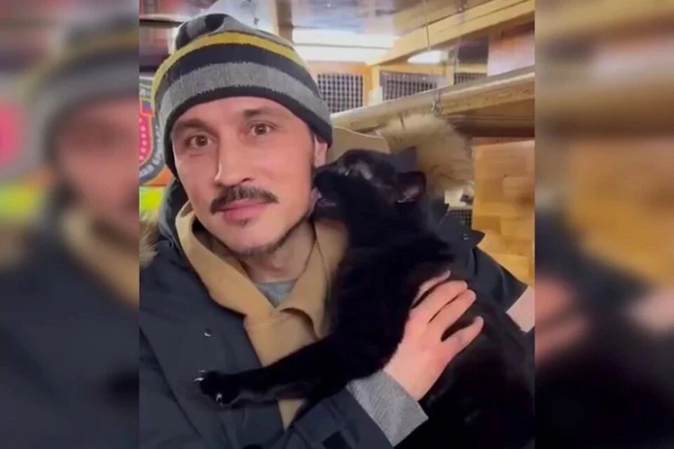 Дима Билан из макеевского кошачьего приюта взял себе домой в Москву кота по кличке «Шахтер». Фото: Скриншот видео t.me/srochnow 
Читайте на WWW.DONETSK.KP.RU: https://www.donetsk.kp.ru/daily/27555/4879762/