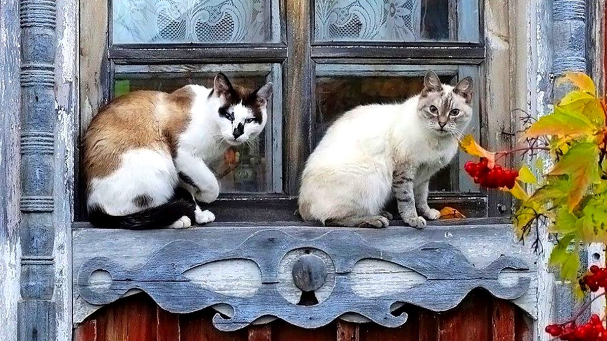 Кто таков будешь? Зачем пришел? ЕЩЕ ФОТО --->>