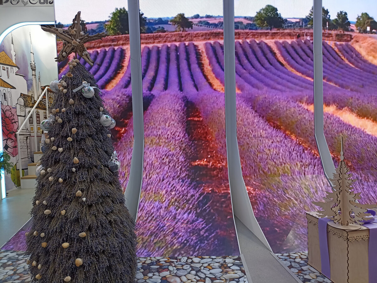 Перед нашим крымским стендом на Международной выставке «Россия» на ВДНХ красуется вот такая ёлочка из лаванды. Не проходите мимо! Загляните к нам обязательно!