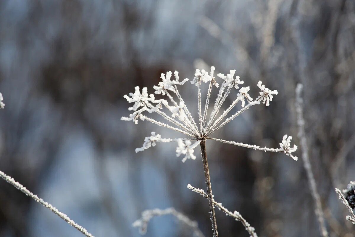 деревня обидимо тульская область. деревня борисово тульская область суворовский район. село тарасьево тульская область. погода в с тарасьево тул обл. тарасьево тульская область.