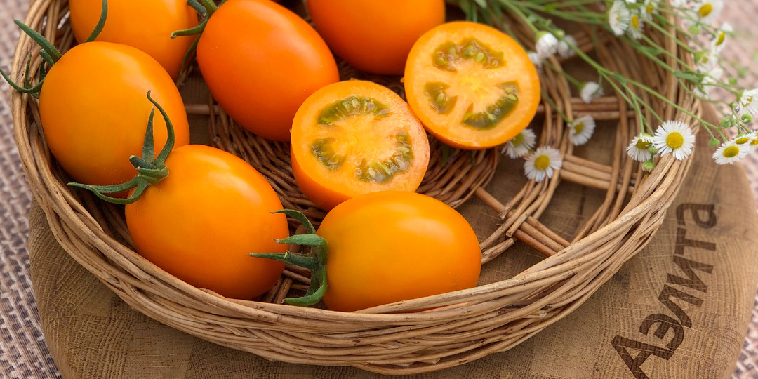 Новинки-томаты: сорта и гибриды Агрофирмы Аэлита