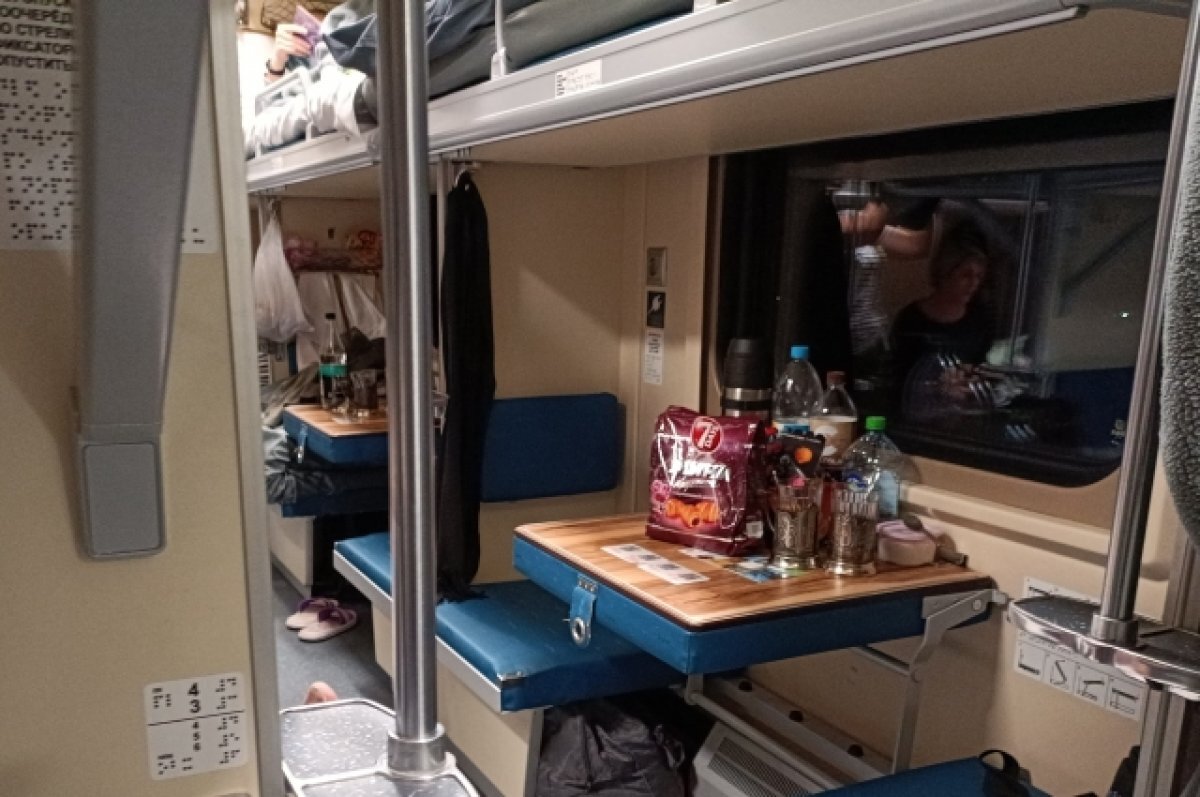    Юрист Рощин сообщил о последствиях для проводницы, выбросившей кота Твикса