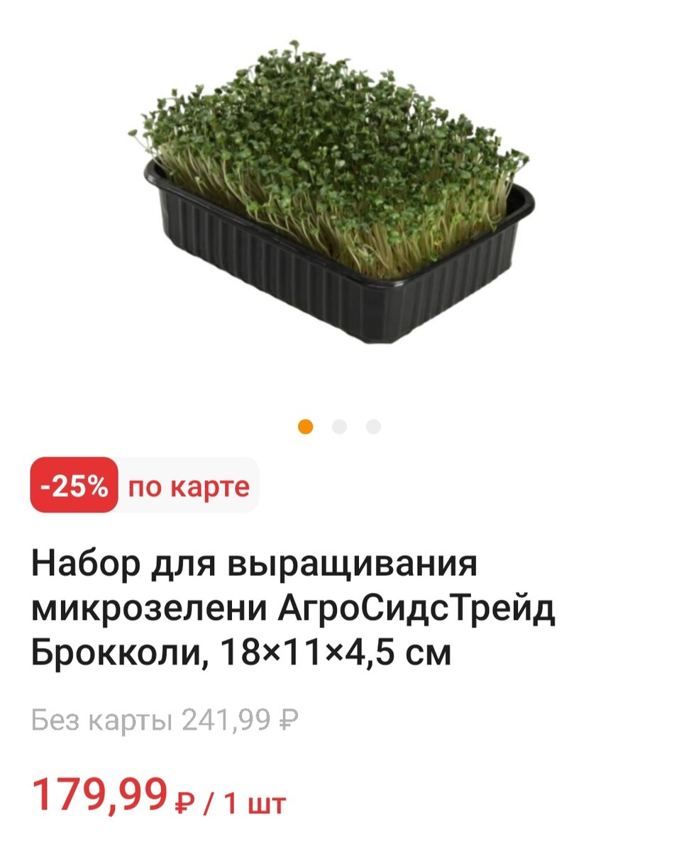 Микрозелень люцерна полив. Амарант микрозелень. Семена микрозелень рукола. Черемша микрозелень. Микрозелень базилик.