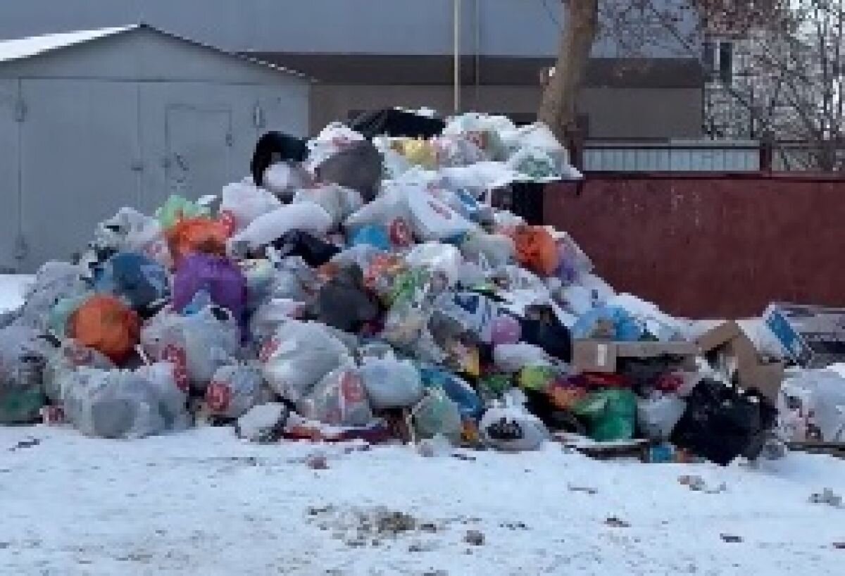 В Орле за два дня вывезли почти тысячу тонн мусора | «Орловские новости» |  Дзен