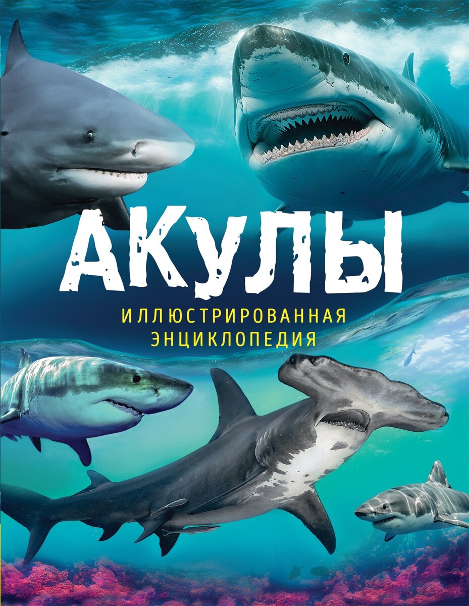 Новые книги любимых детских издательств (2 выпуск 2024) | Л.Бредникова о  книжках и клубочках... | Дзен