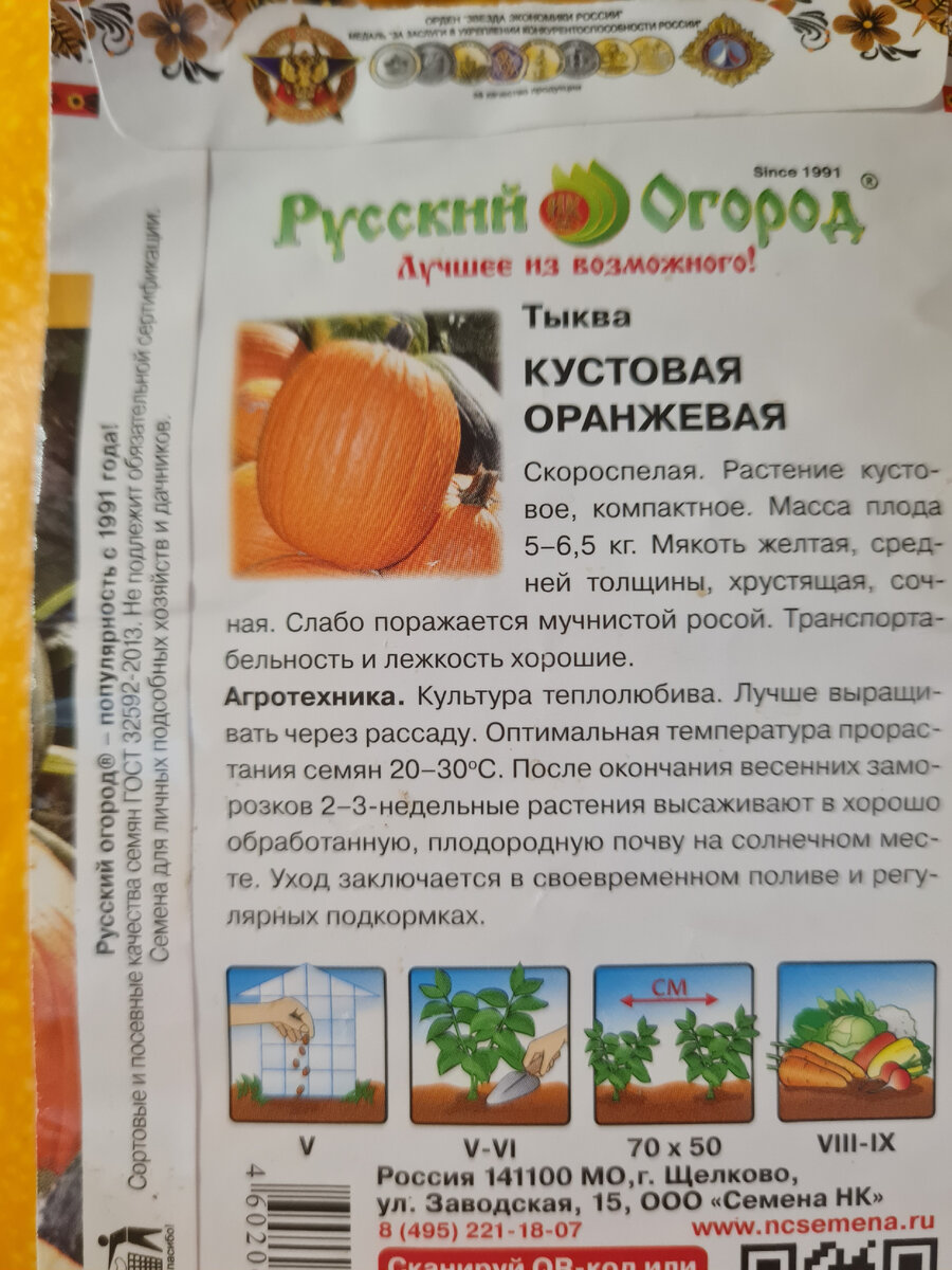 фото автора тыква кустовая 