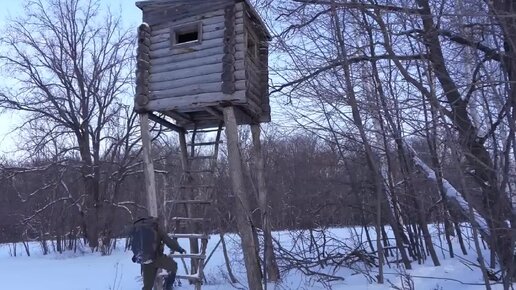 ЖК Янинский лес, цены на квартиры в новостройке Янинский лес на официальном сайте ПИК