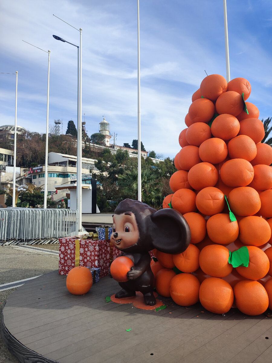 сочи парк собака. сочи парк красная. атомариум сочи парк. сочи парк 2022. сочи парк собака.