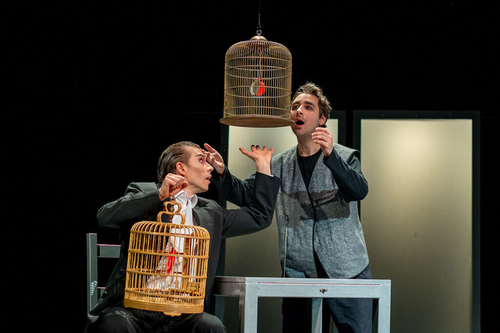    Фото: Мария Никифорова Источник фото: Театр To Go