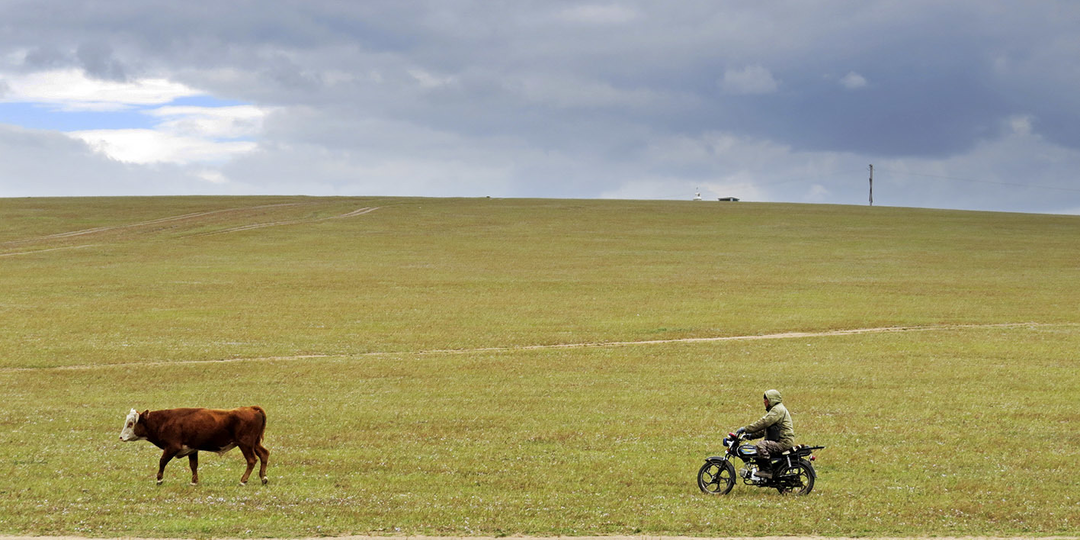 Государство буддийских отшельников... в России. Самая странная сила между Белыми и Красными