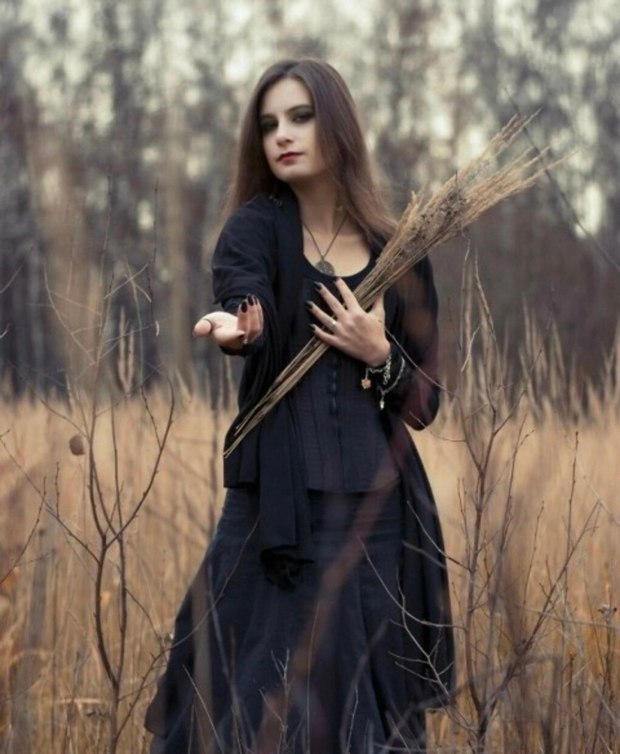 Фото из открытых источников Яндекс 