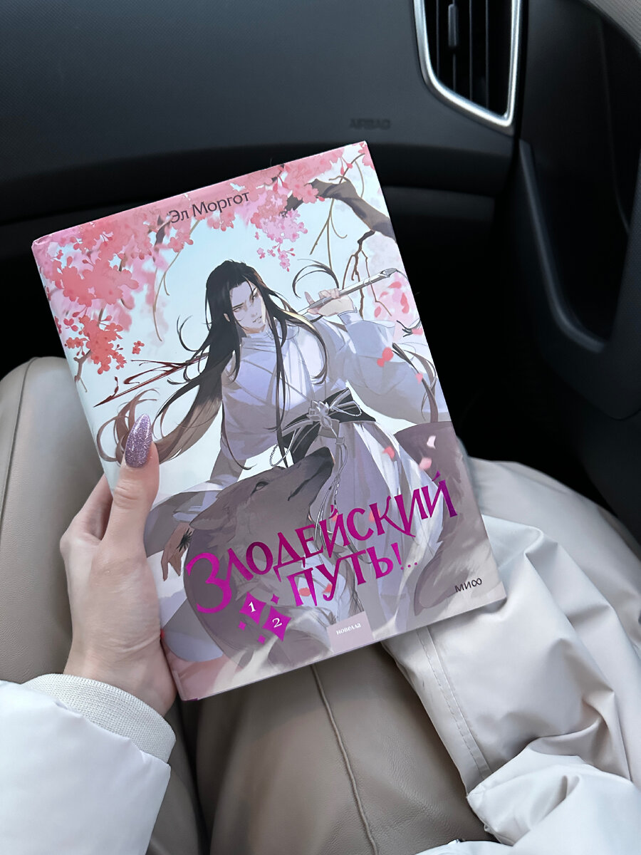 Книга, прекрасно скрасившая мои дальние новогодние поездки 