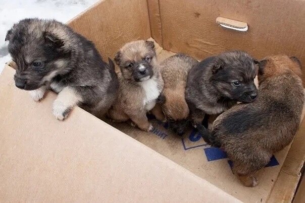 Может мы расплатимся как то иначе. Цитаты про гордость. Каждый живет так как хочет. На зло отвечай добром цитаты. Запомните: за всё, что вы совершаете недоброе.