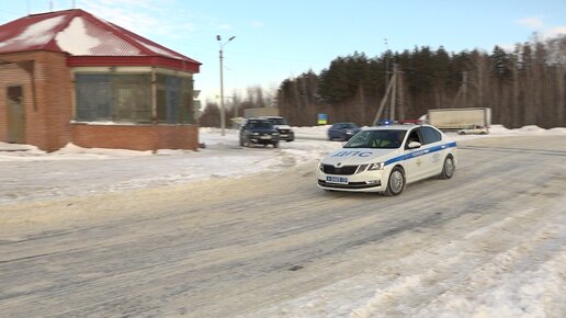 Полиция73. Выпуск 34. Удар по мошенникам, ботаника наркомана, полицейские-спасатели