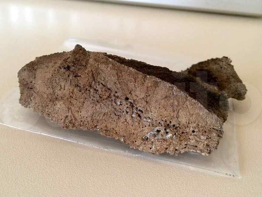 Можно крысам капусту. График кормления крыс. Таблица кормления крыс. Рацион лабораторных крыс. Список разрешенных продуктов для крыс.