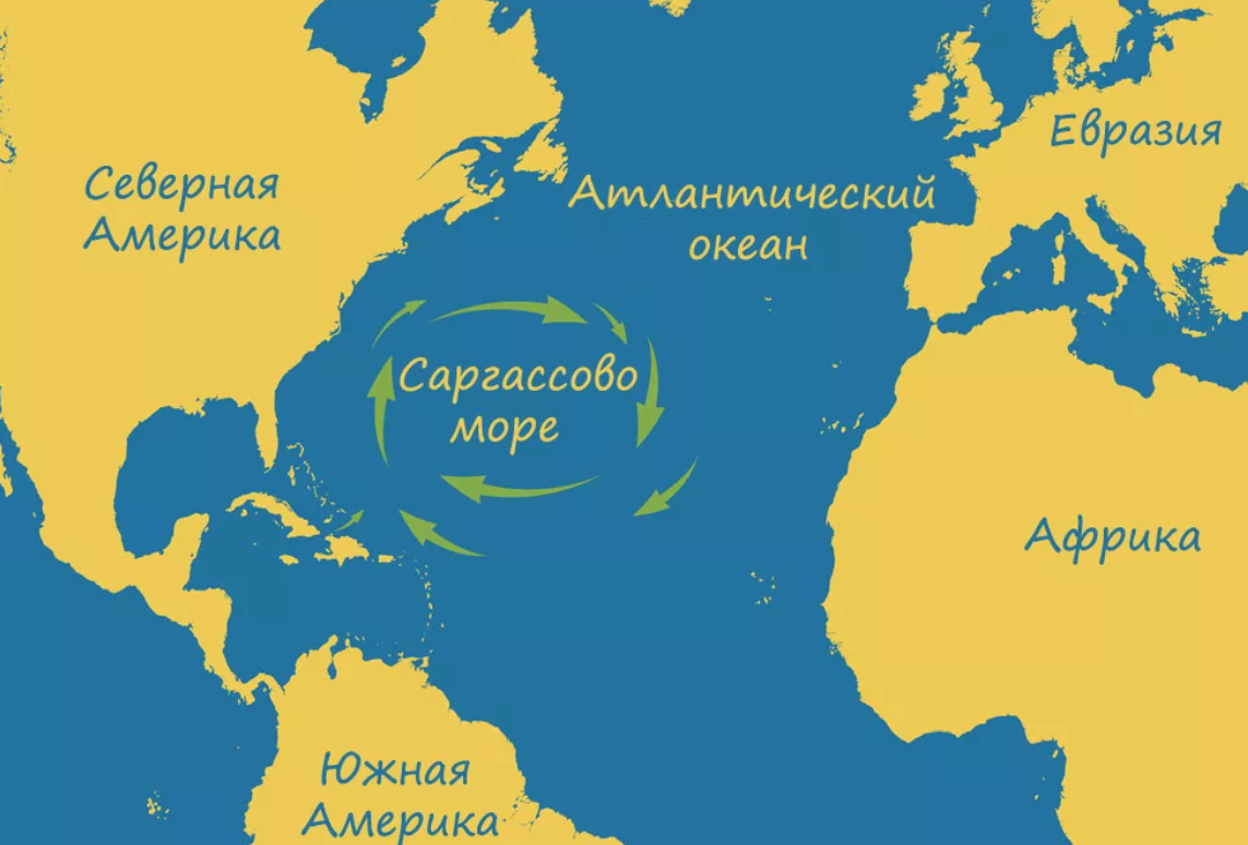 Саргассово какой океан. Саргассово море границы на карте. Атлантический океан Саргассово море. Саргассовр море на Катре. Саргассрво Морена карте.