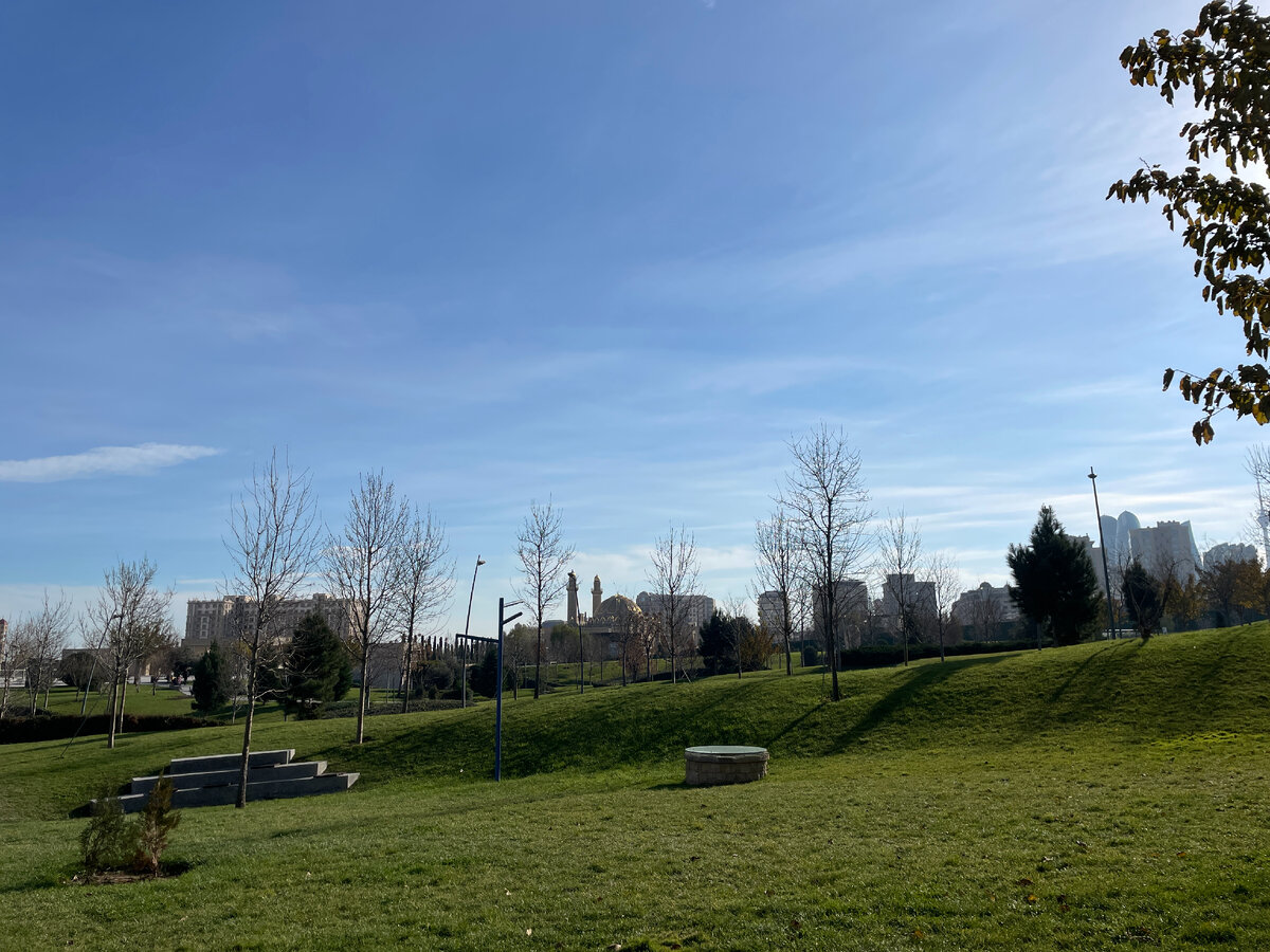 Сезон выдают только голые деревья